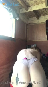 8637049