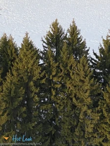 4966553