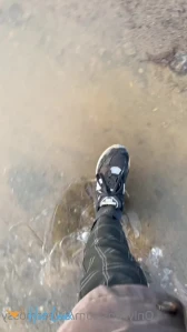 5396815