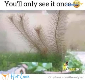 11471020