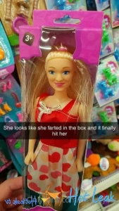11570981
