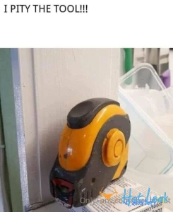 11646431