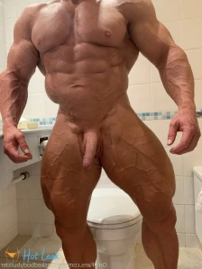 4861611