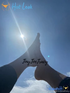 11762239