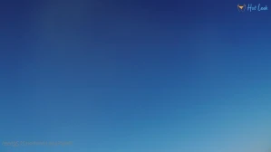 10557394