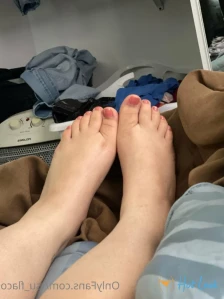 4876203