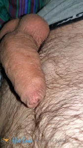 5461231
