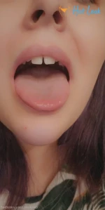 4813363