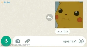 10528217