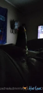4894545