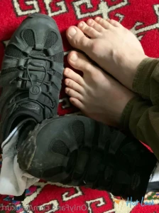 10528203
