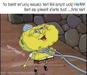 7582888