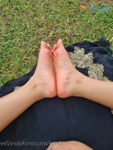 7655223