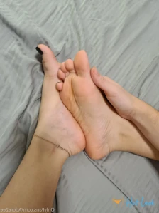 7655258
