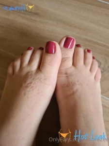 11462591