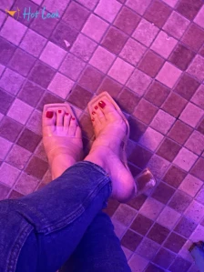 10662817