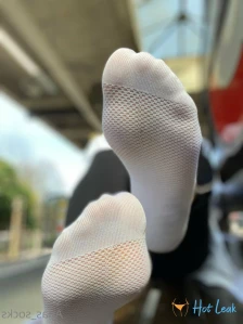 7332182