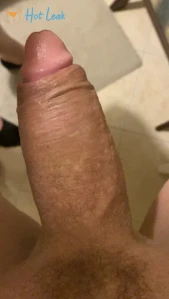 10685751