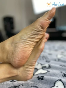 7319229