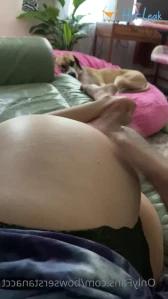 7754254