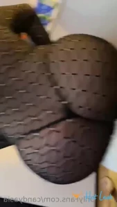 7748655
