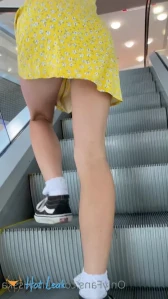 2527796