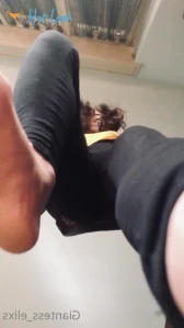 7593737