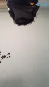 7593767