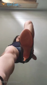 7593804