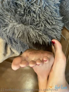 7231341