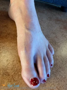 7231733