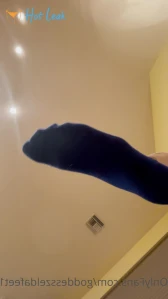 7585768