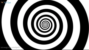 7577719
