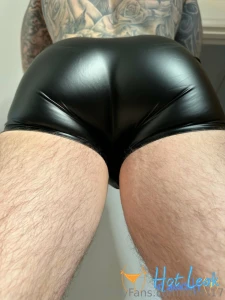 11768121