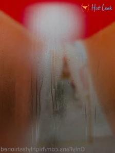 10586446