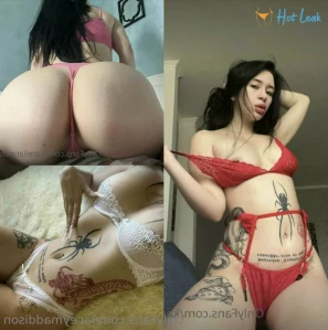 6768482