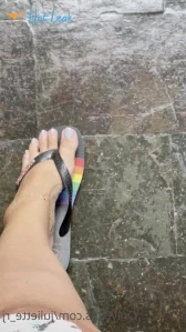 7445372
