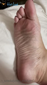 7445404