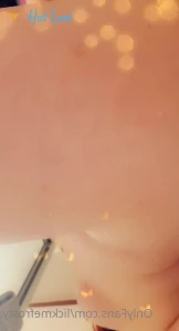 7325004