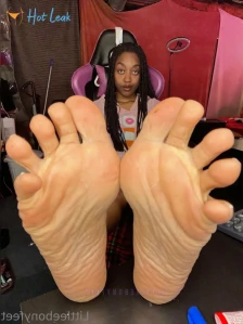 10443897