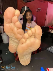 10443955