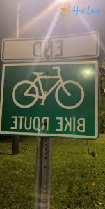 7329772