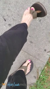 7264088