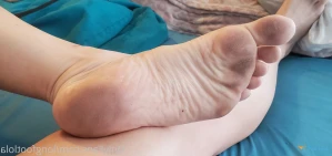 7451733