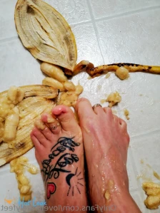 11300479