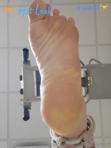 11462686