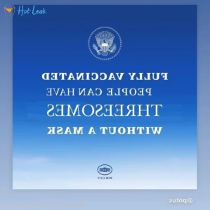 6689017