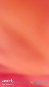 7210047