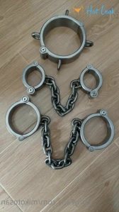 6772216