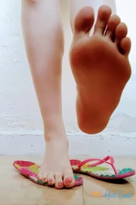 7259230
